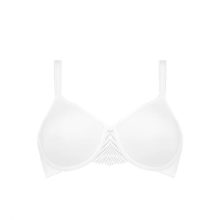 My Perfect Shaper WP