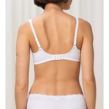 Modern Lace+Cotton W02