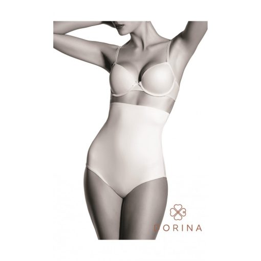 BRIGITTE High Waist Control Brief